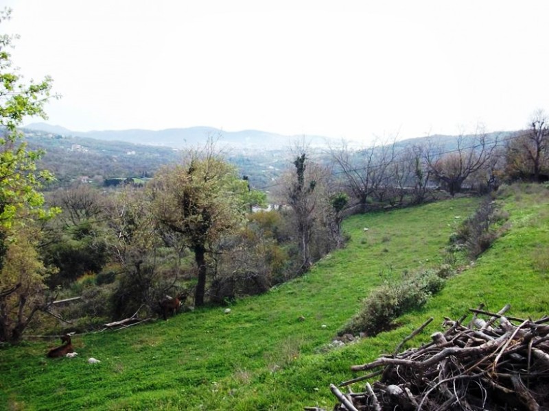 Image of Plot for Sale in Bar-Zupci-Montenegro, Image 1