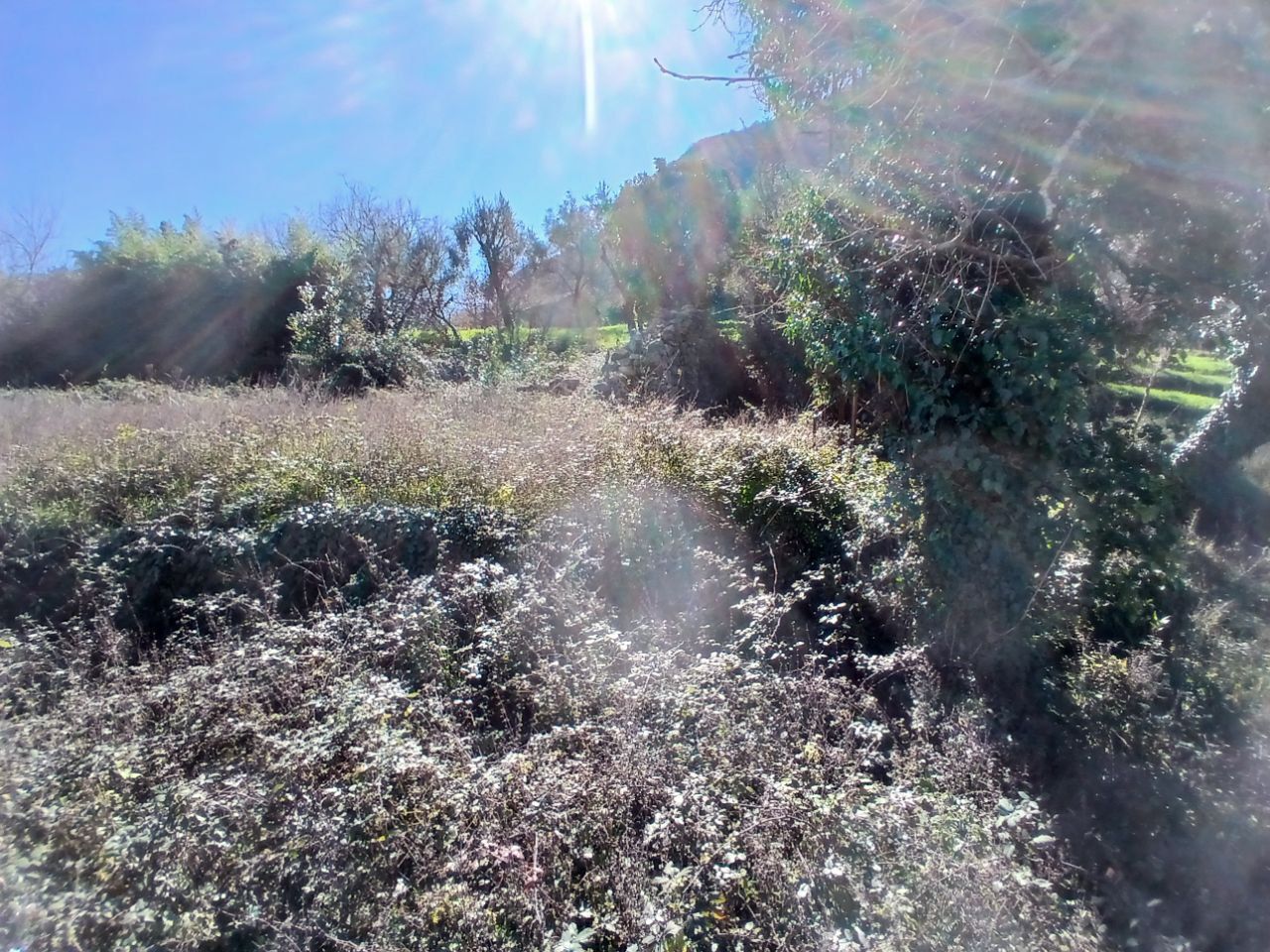 Image of Property for Sale in Kotor-Stoliv-Montenegro, Image 2