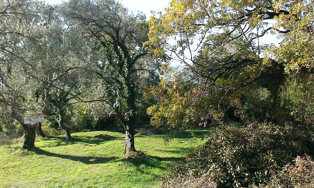 Image of Plot for Sale in Tivat-Tivat-Montenegro, Image 1