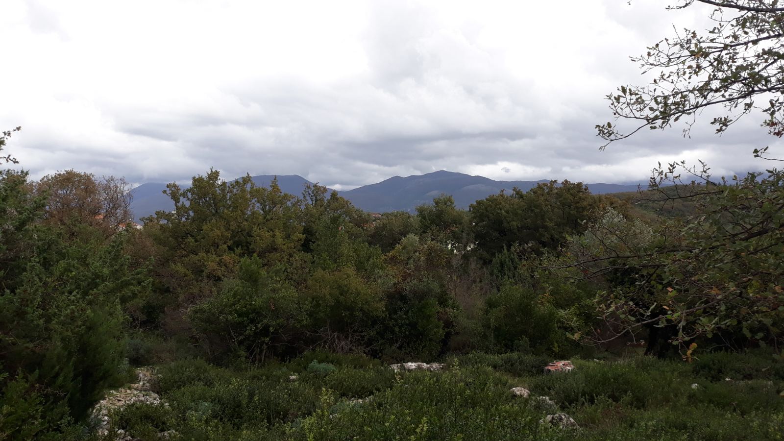 Image of Plot for Sale in Tivat-Tivat-Montenegro, Image 5