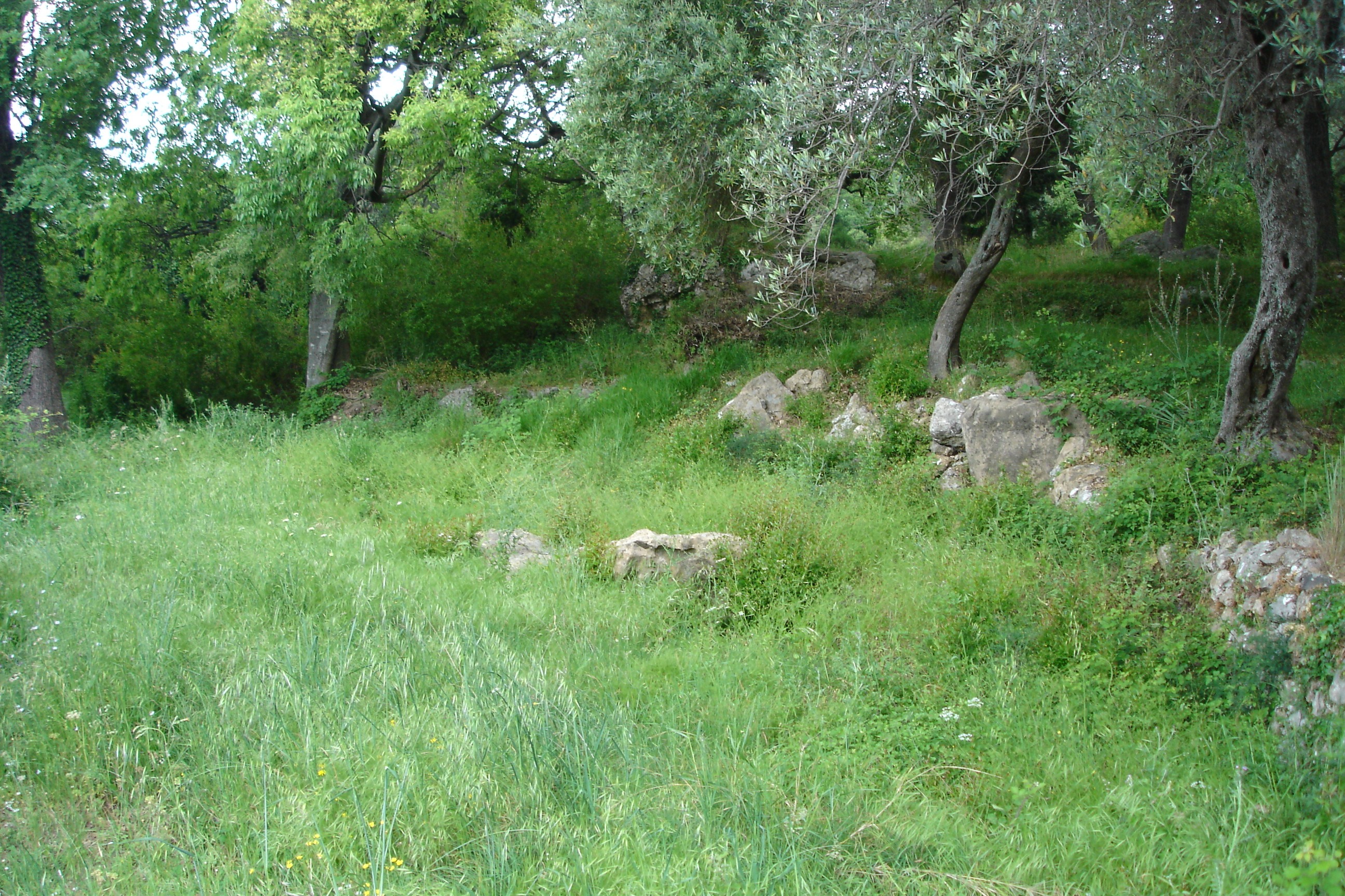 Image of Plot for Sale in Kotor-Kotor-Montenegro, Image 5