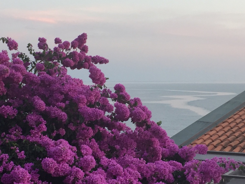 Image of Villa - 5 Bedrooms - 6 Bathrooms for Sale in Bar-Dobre Vode-Montenegro, Image 15