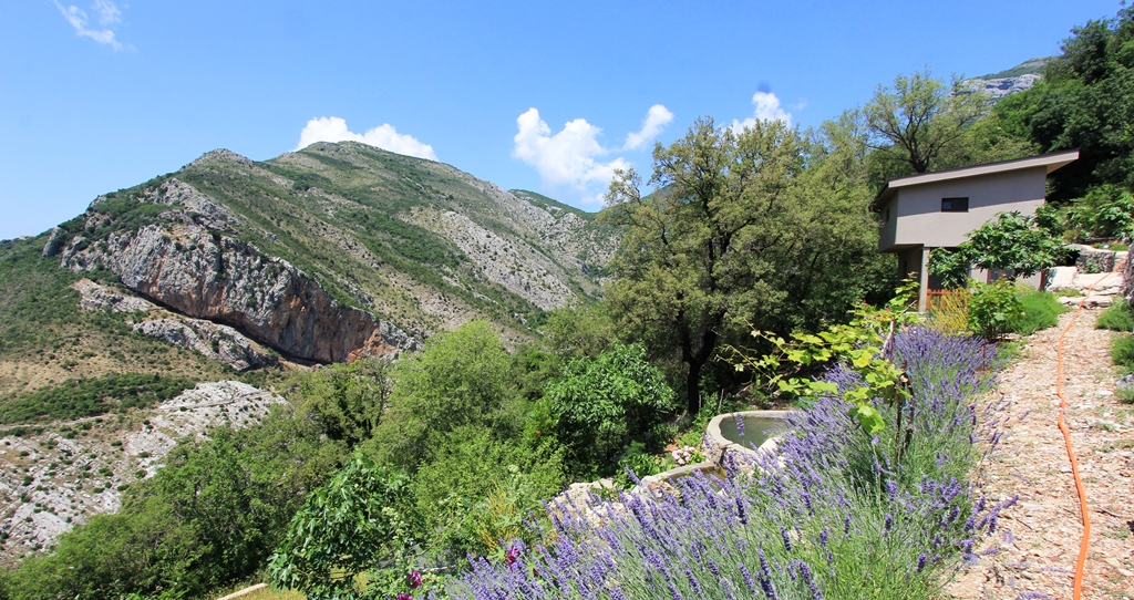 Image of Villa - 3 Bedrooms - 3 Bathrooms for Sale in Bar-Montenegro, Image 21