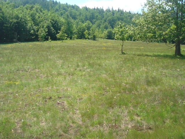 Image of Plot for Sale in Montenegro-Zabljak-Montenegro, Image 2