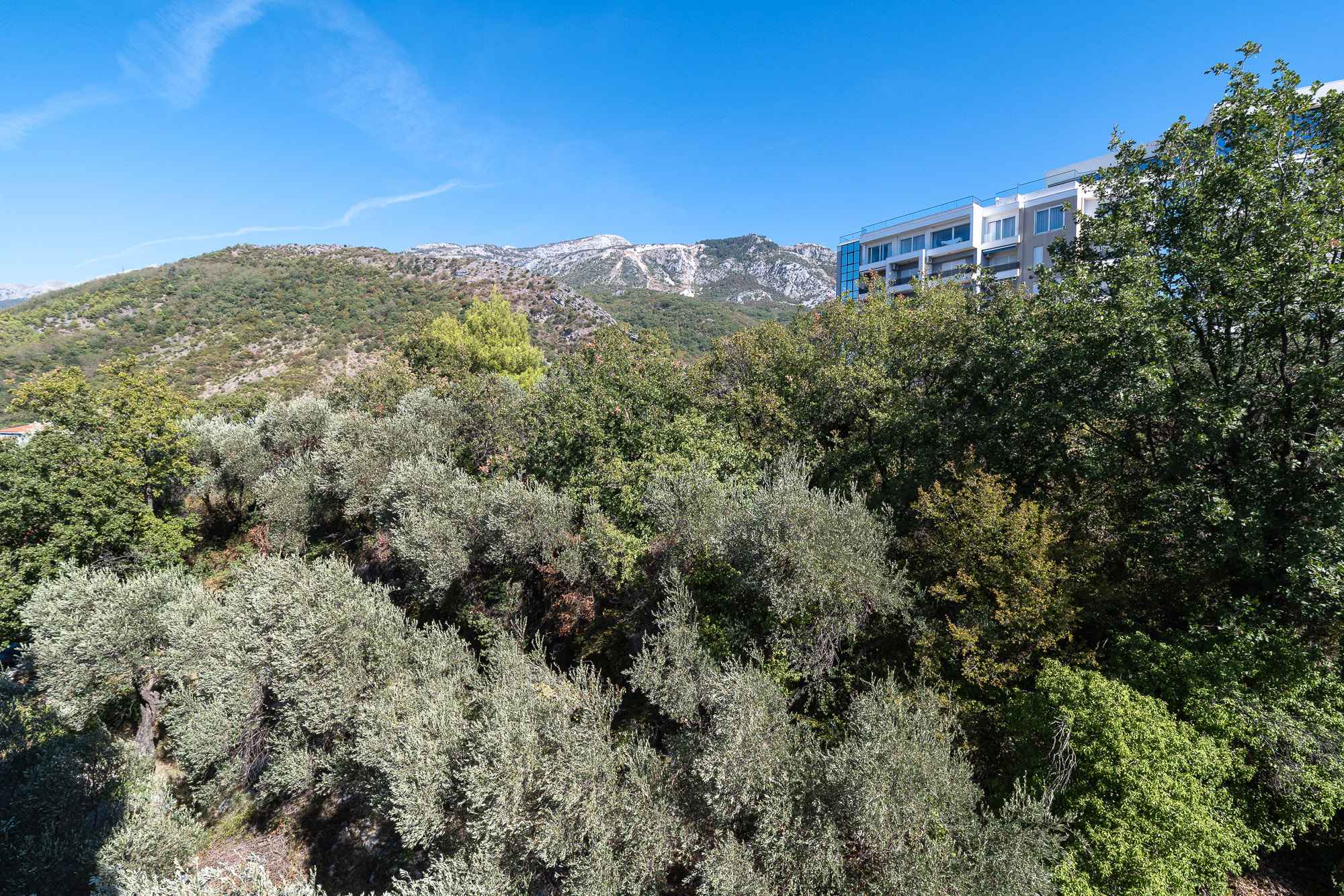  Image of Apartment - 1 Bathrooms for Residential For Sale in Budva-Becici-Montenegro, Image 13