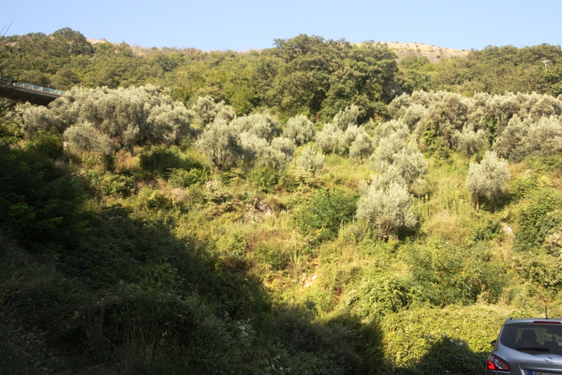 Image of Plot for Sale in Budva-Petrovac-Montenegro, Image 2