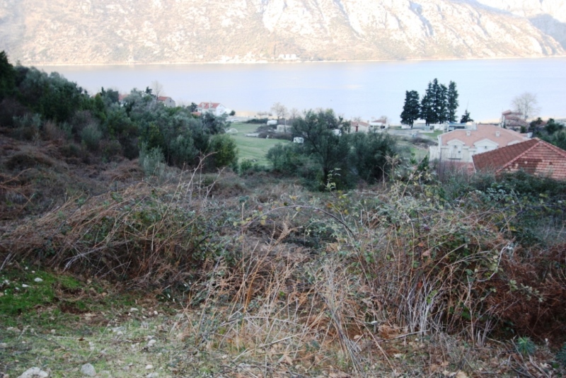 Image of Plot for Sale in Kotor-Kotor-Montenegro, Image 3