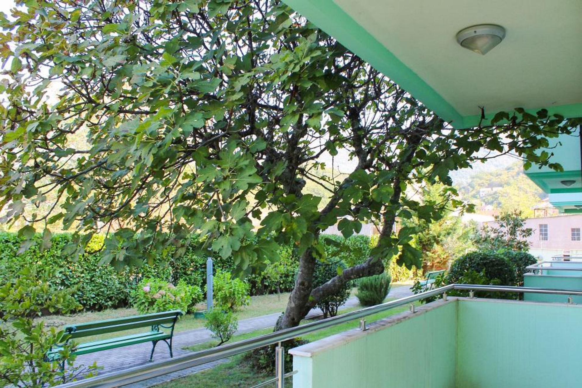 Image of Apartment - 1 Bedrooms - 1 Bathrooms for Sale in Herceg-Novi-Herceg Novi-Montenegro, Image 3