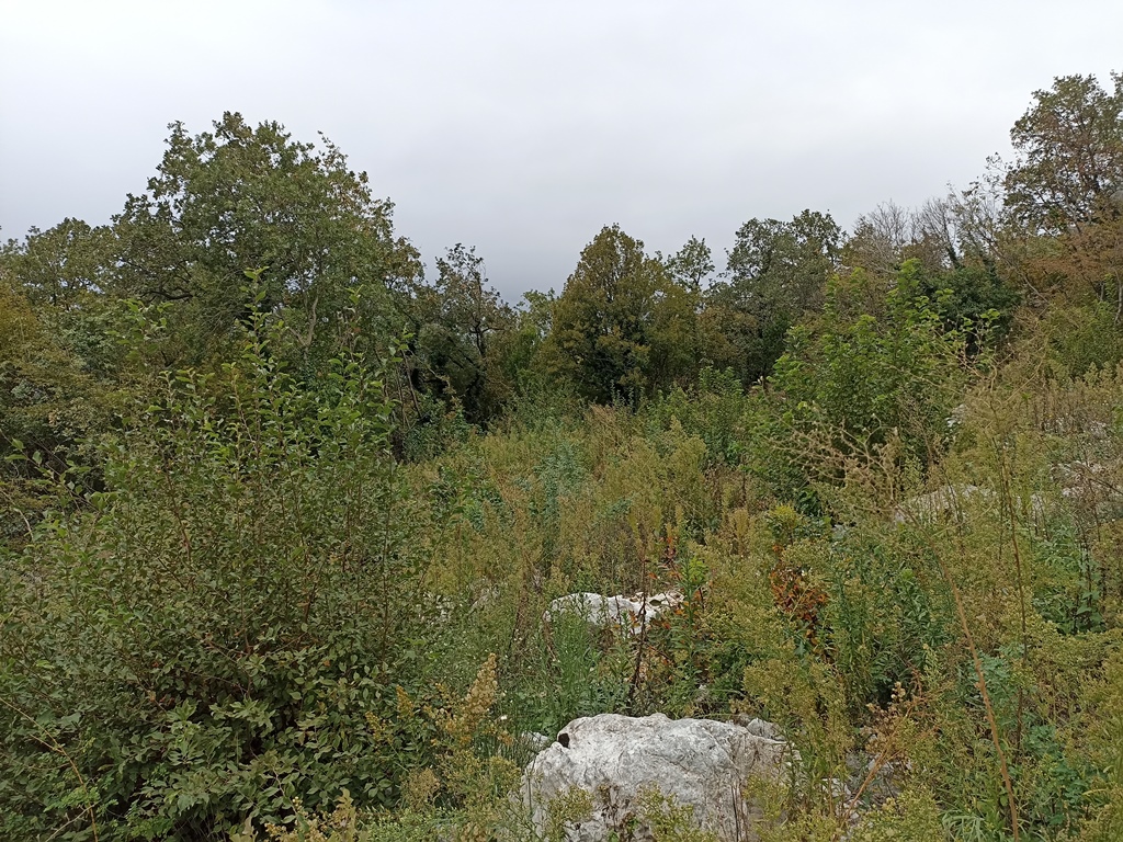 Image of Plot for Sale in Budva-Blizikuce-Montenegro, Image 1