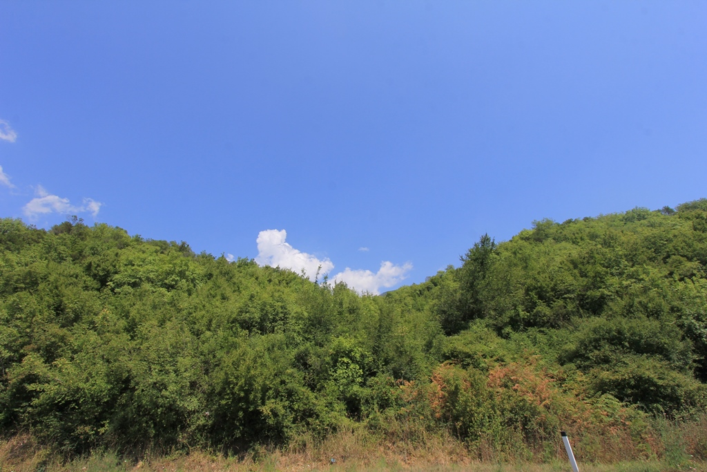 Image of Plot for Sale in Kotor-Kotor-Montenegro, Image 1