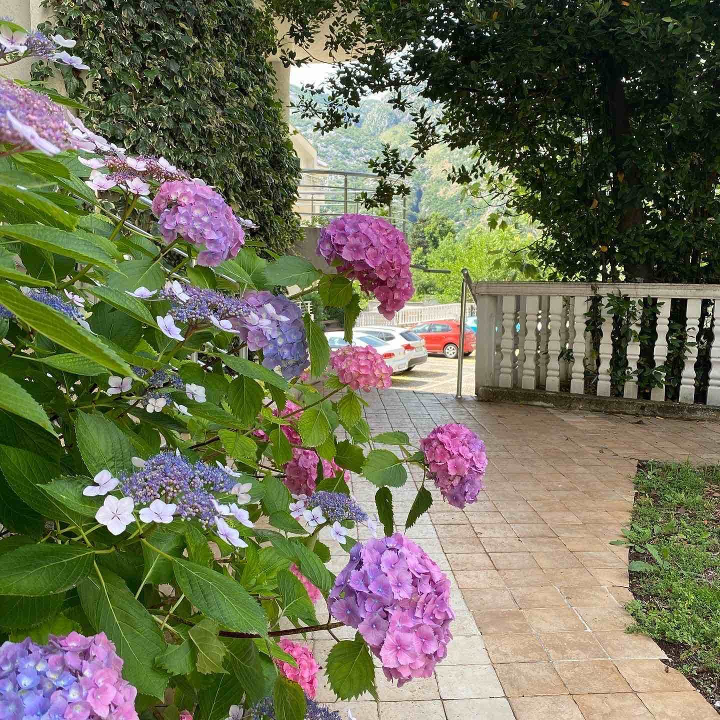 Image of Apartment - 1 Bedrooms for Sale in Kotor-Risan-Montenegro, Image 11