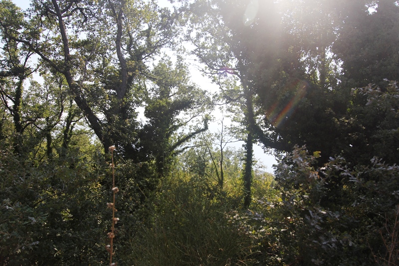 Image of Plot for Sale in Budva-Budva-Montenegro, Image 2
