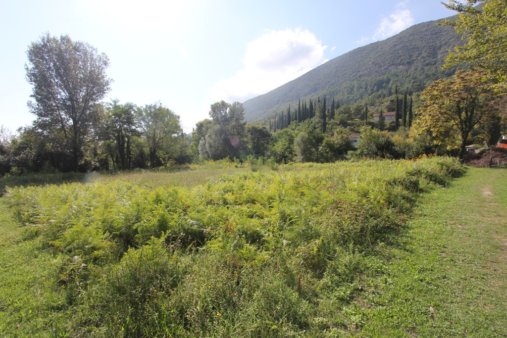 Image of Plot for Sale in Herceg-Novi-Herceg Novi-Montenegro, Image 5