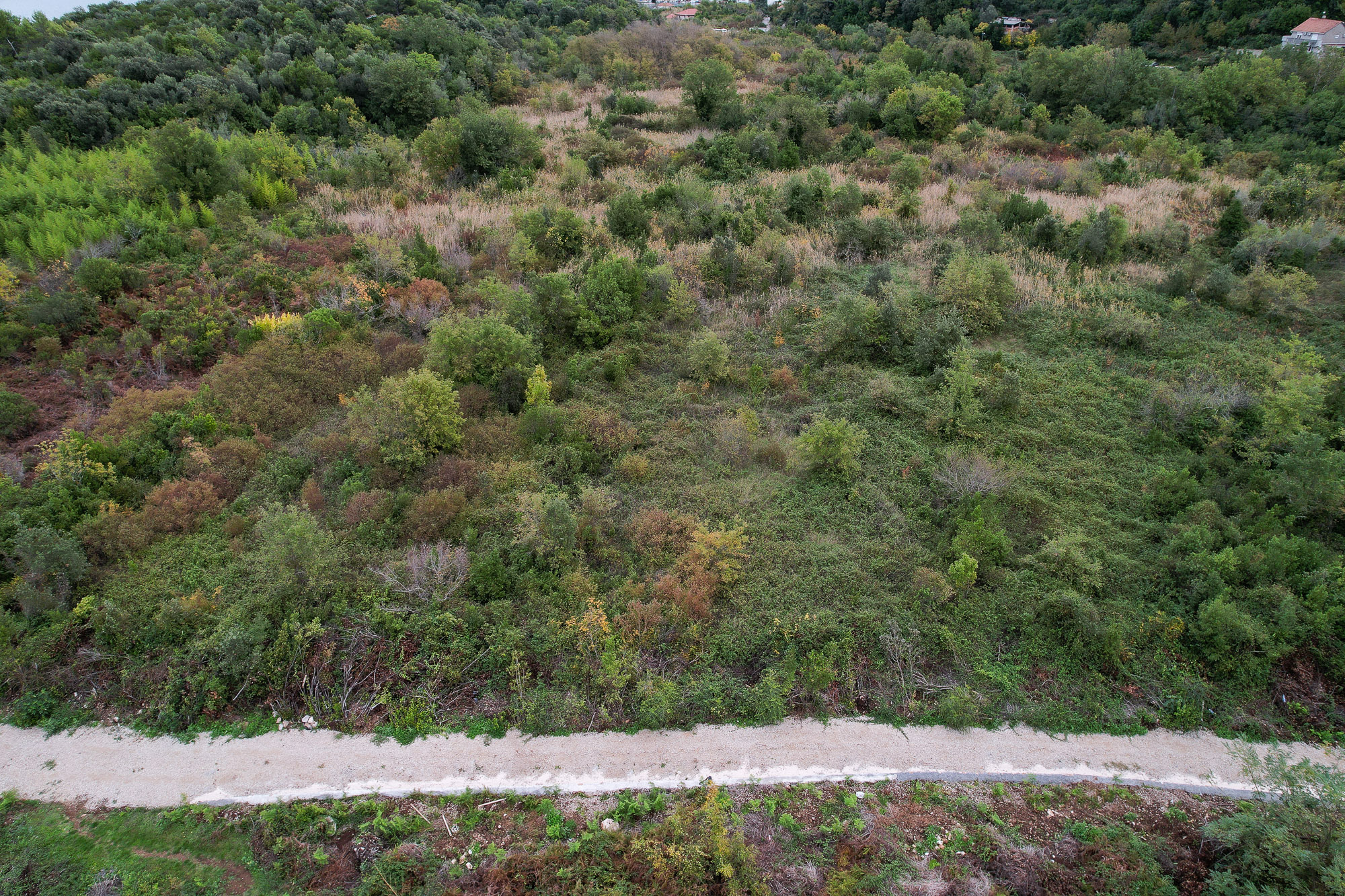 Image of Plot for Sale in Tivat-Tivat-Montenegro, Image 2