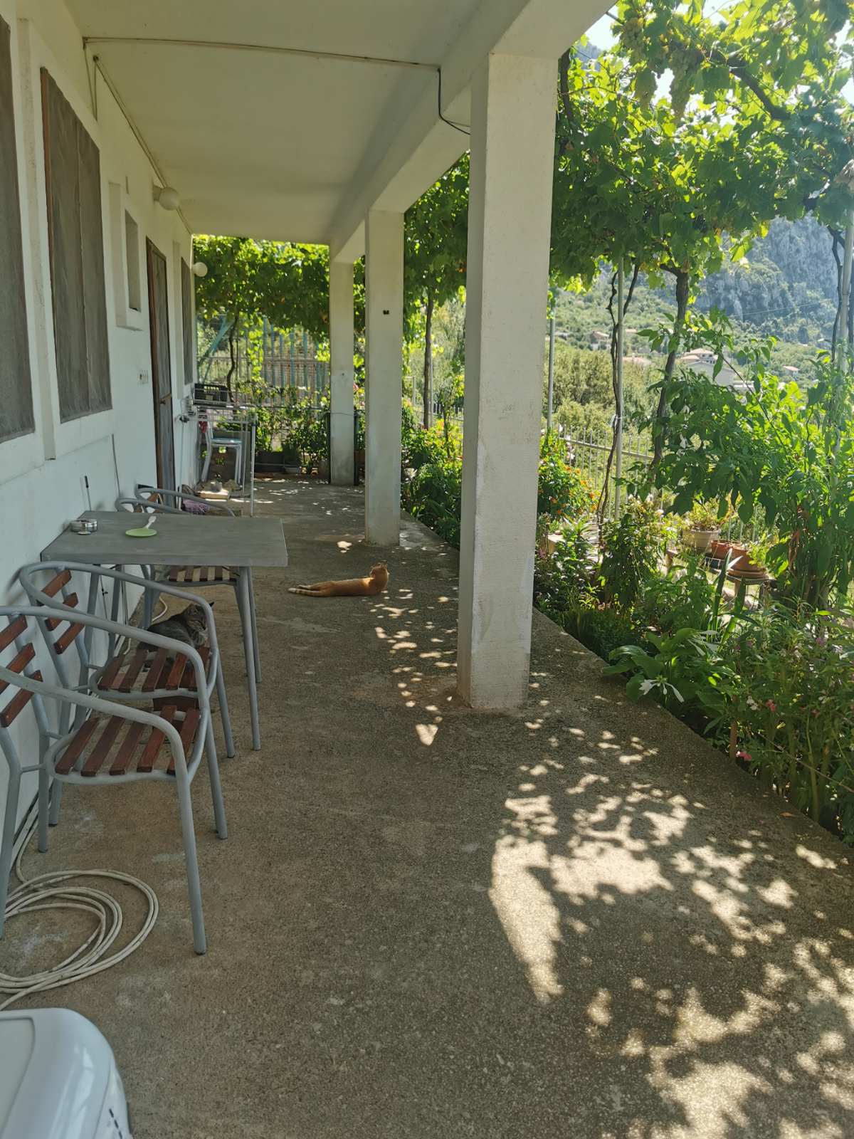 Image of House - 5 Bedrooms - 3 Bathrooms for Sale in Budva-Blizikuce-Montenegro, Image 1