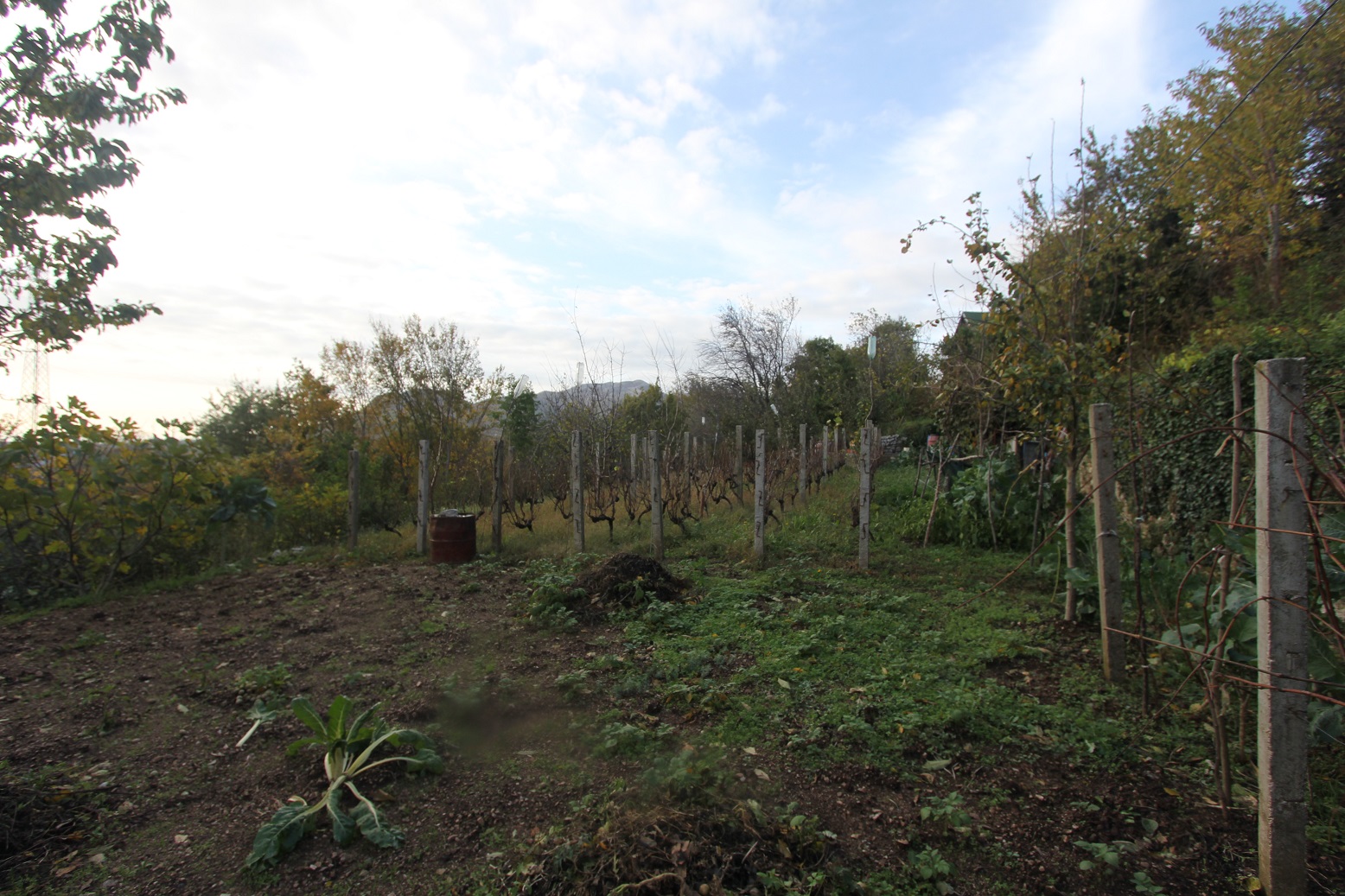 Image of Plot for Sale in Herceg-Novi-Herceg Novi-Montenegro, Image 4