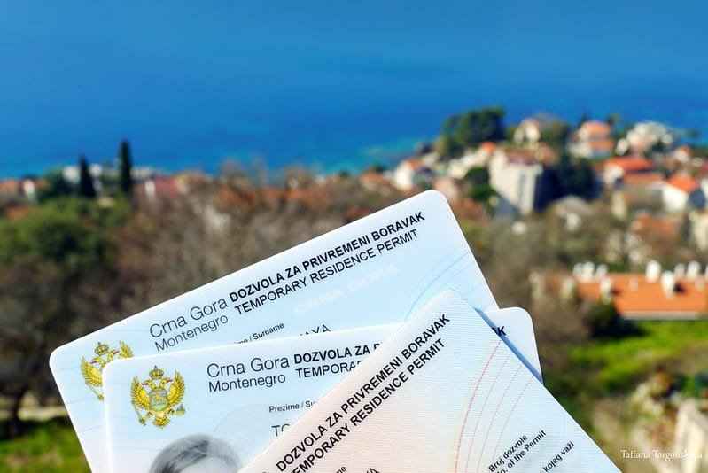 cmm-montenegro