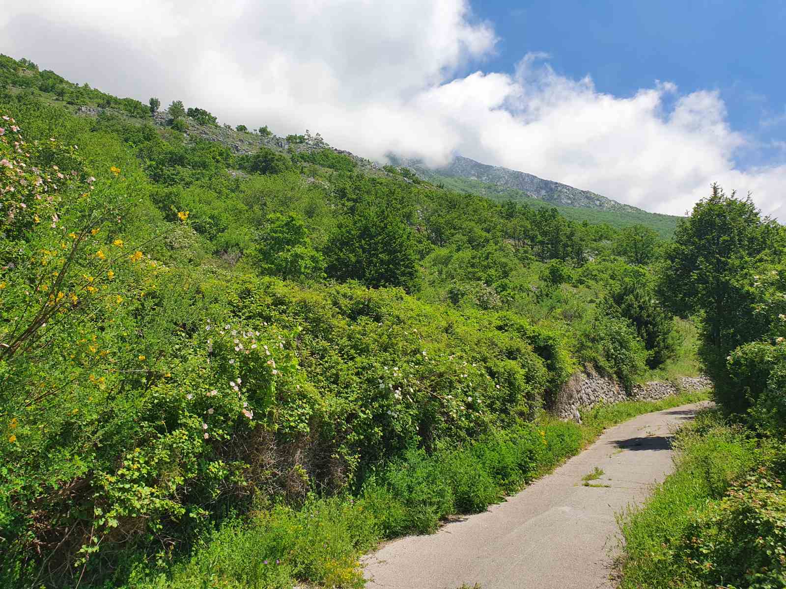 Image of Plot for Sale in Kotor-Kotor-Montenegro, Image 3
