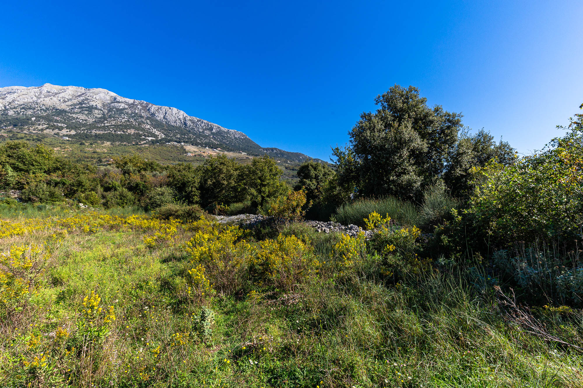 Image of Plot for Sale in Bar-Montenegro, Image 1