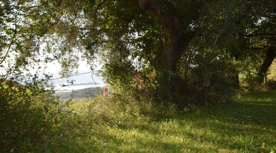 Image of Plot for Sale in Kotor-Kotor-Montenegro, Image 7
