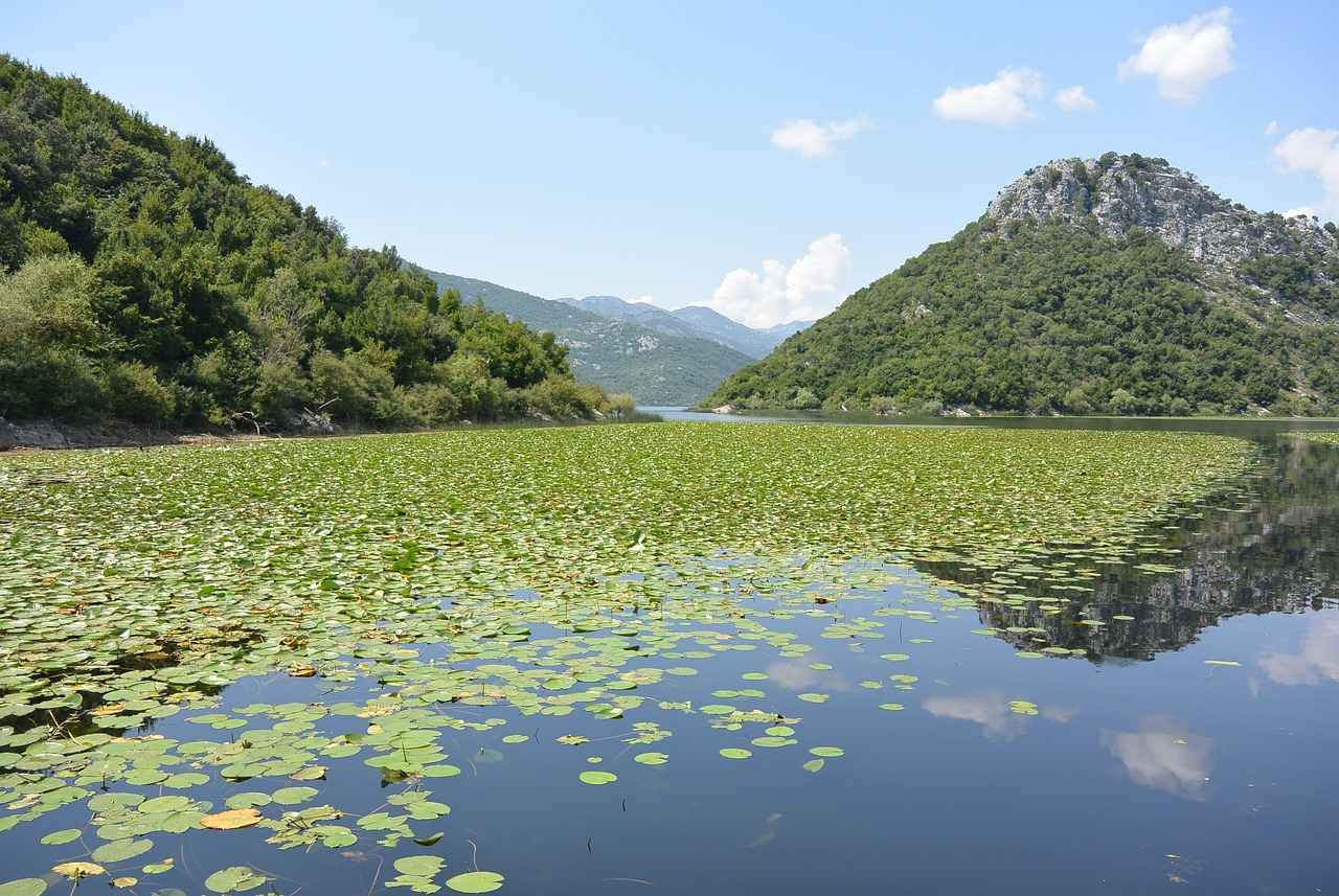 cmm-montenegro