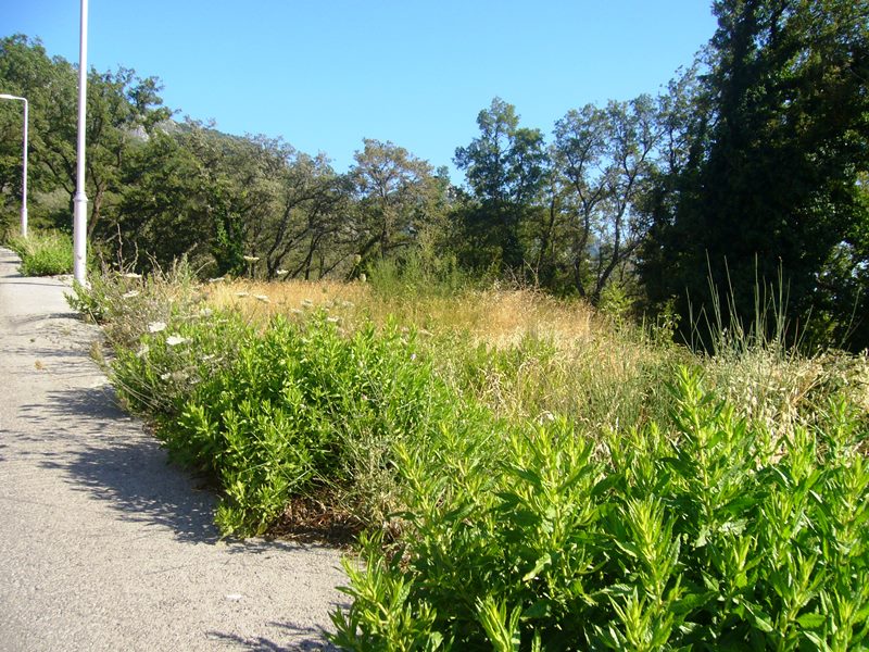 Image of Plot for Sale in Budva-Budva-Montenegro, Image 6