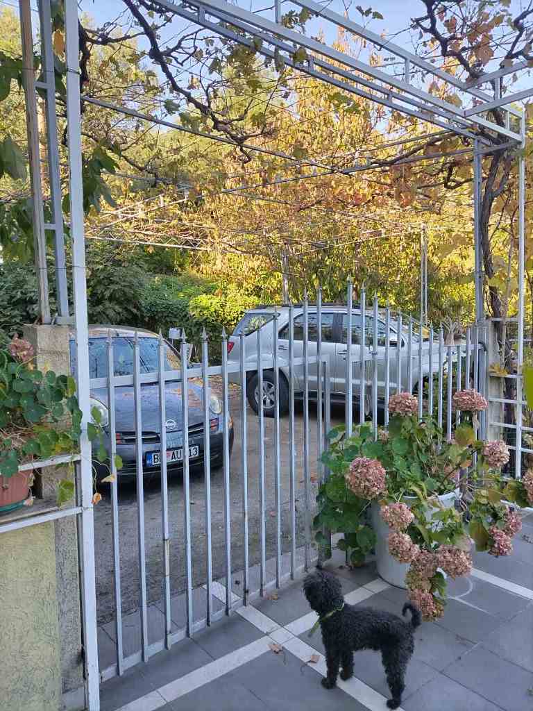 Image of House - 8 Bedrooms - 7 Bathrooms for Sale in Budva-Budva-Montenegro, Image 10
