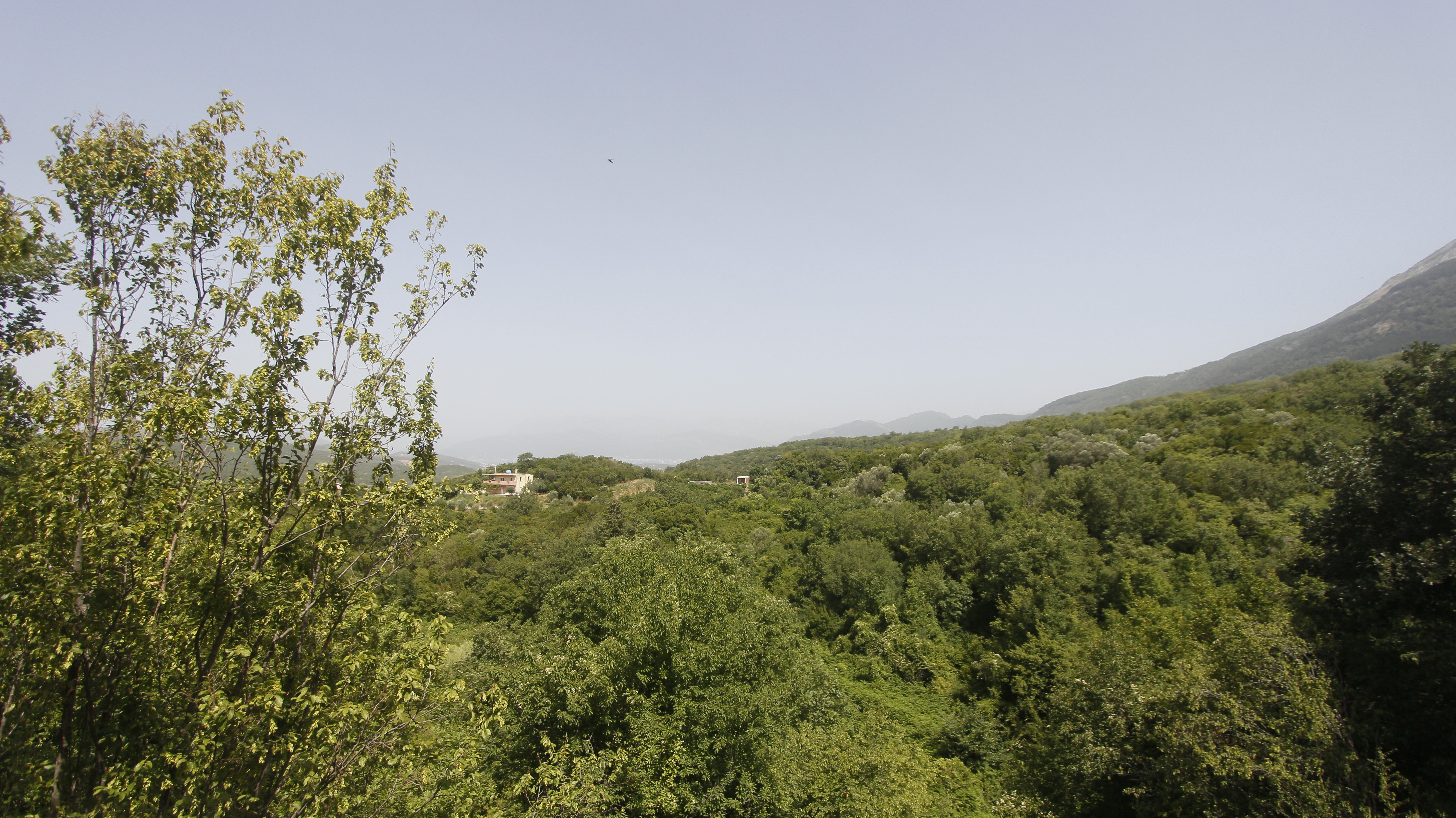 Image of House - 5 Bedrooms - 3 Bathrooms for Sale in Kotor-Radanovici-Montenegro, Image 12