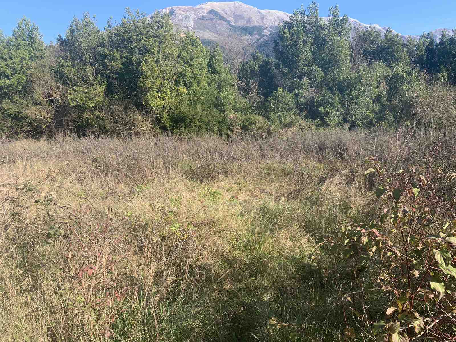 Image of Plot for Sale in Kotor-Kotor-Montenegro, Image 2