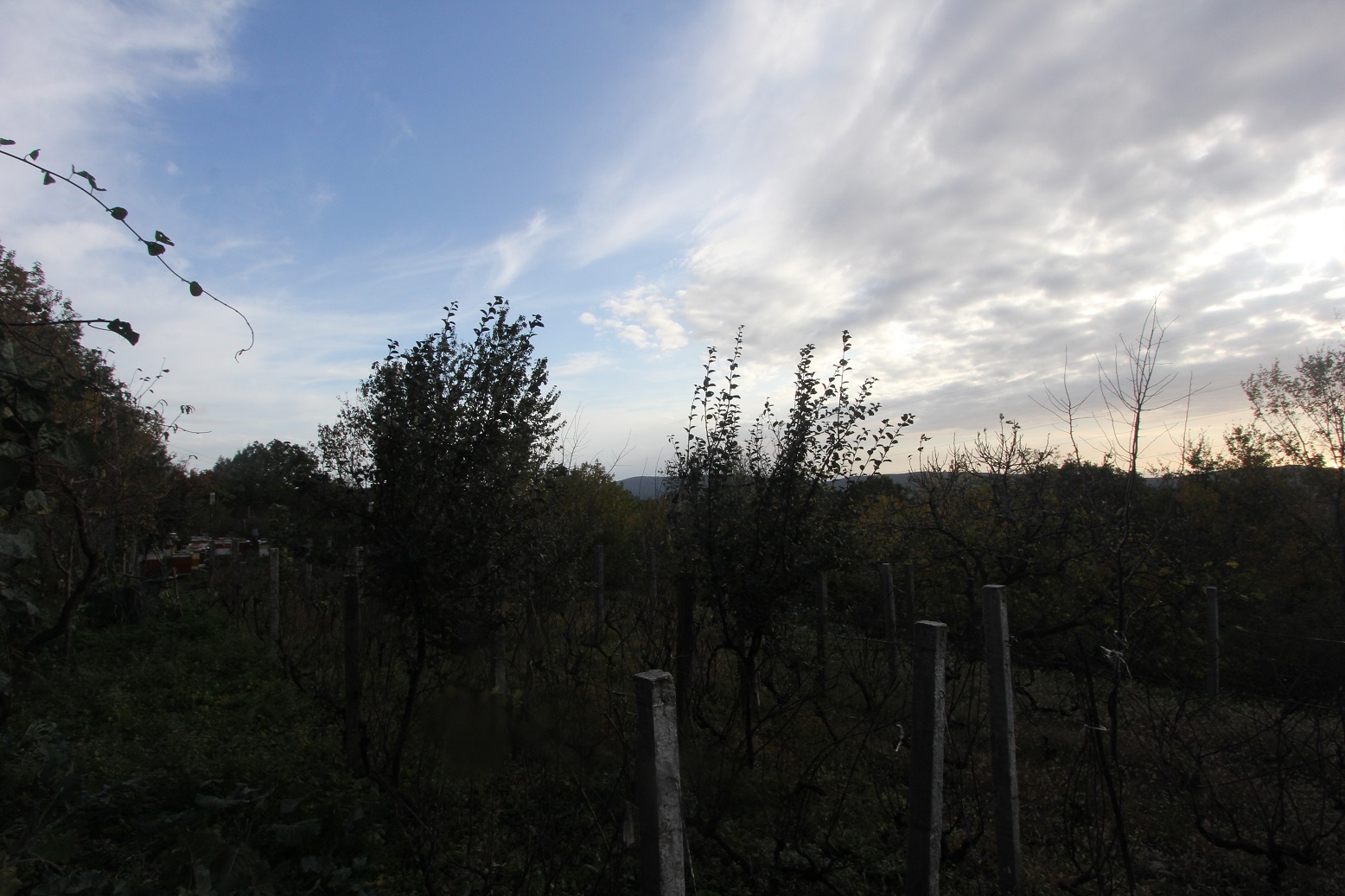 Image of Plot for Sale in Herceg-Novi-Herceg Novi-Montenegro, Image 1