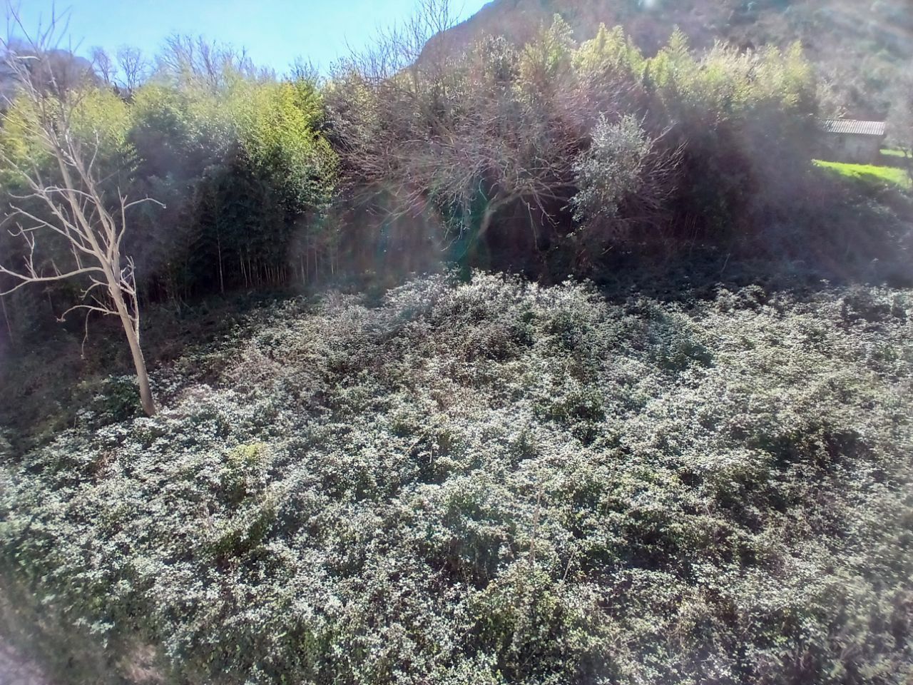 Image of Property for Sale in Kotor-Stoliv-Montenegro, Image 5