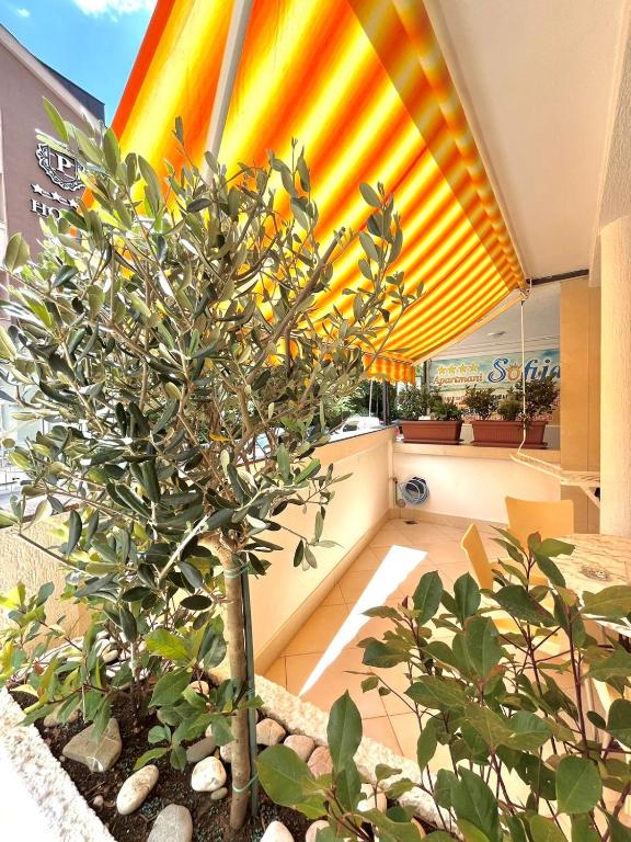 Image of Apartment - 1 Bedrooms - 1 Bathrooms for Sale in Budva-Becici-Montenegro, Image 1