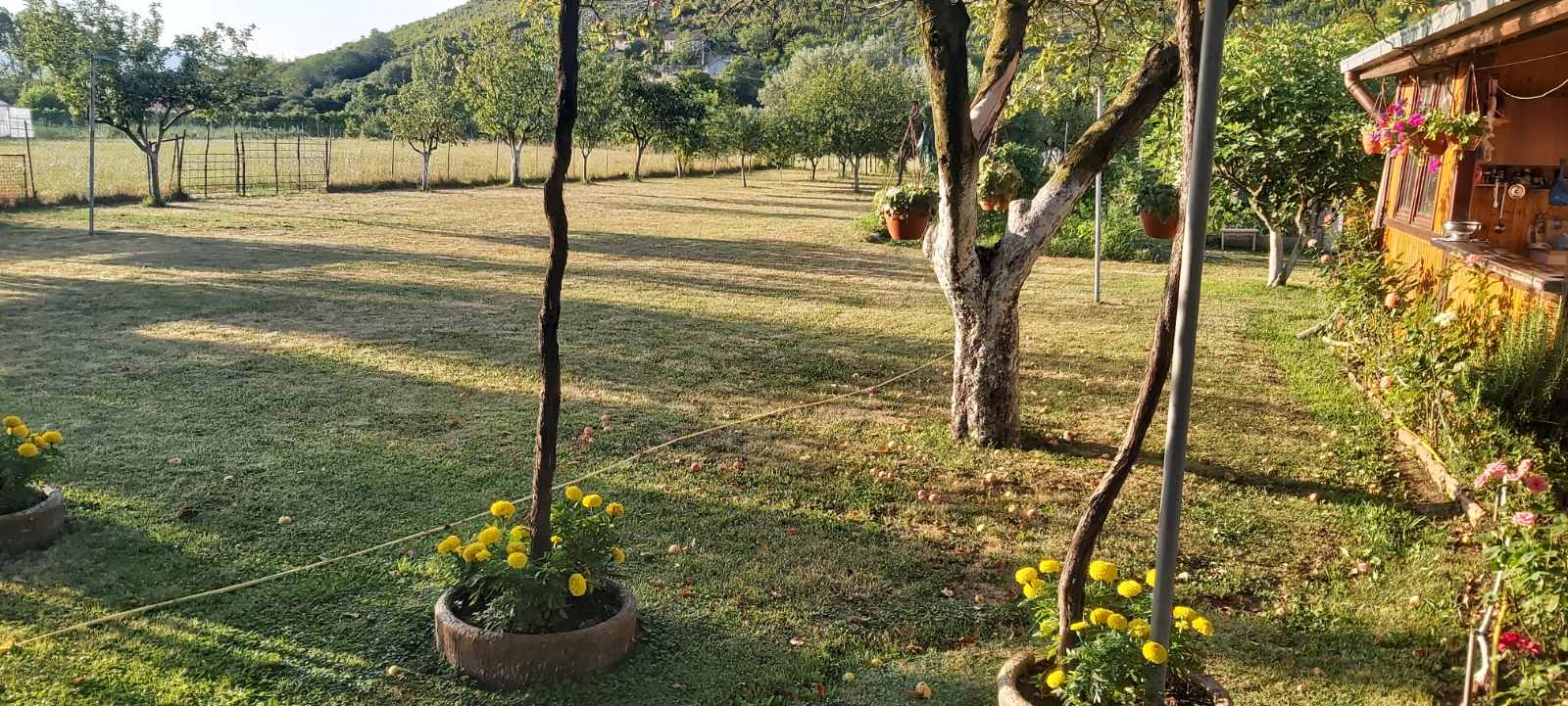 House in Danilovgrad with a spacious plot