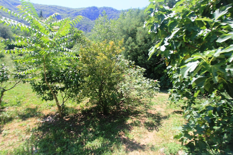 Image of House - 4 Bedrooms - 2 Bathrooms for Sale in Kotor-Kotor-Montenegro, Image 7