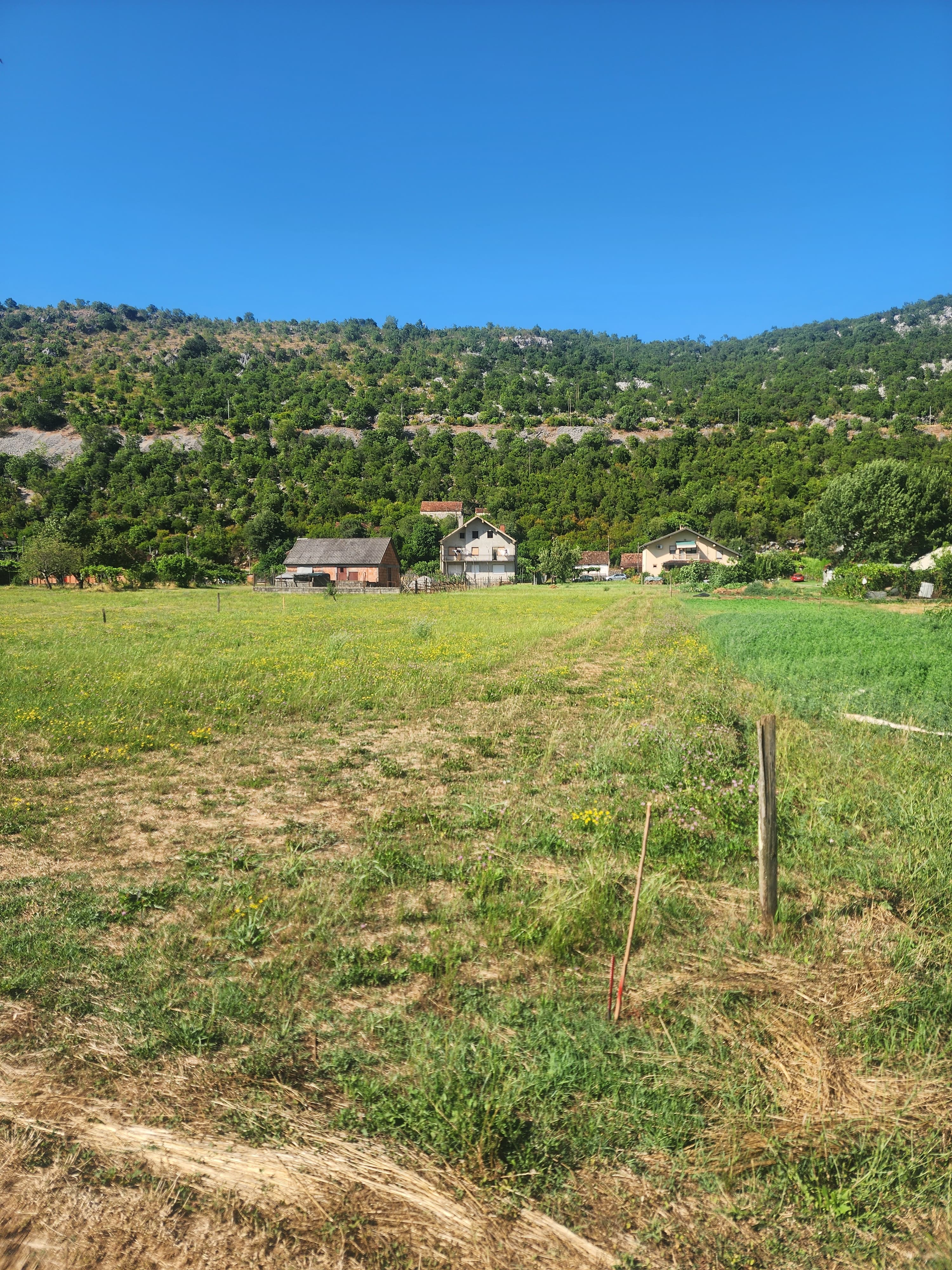 FOR SALE – Family property with large land and orchard, near Danilovgrad   Montenegro