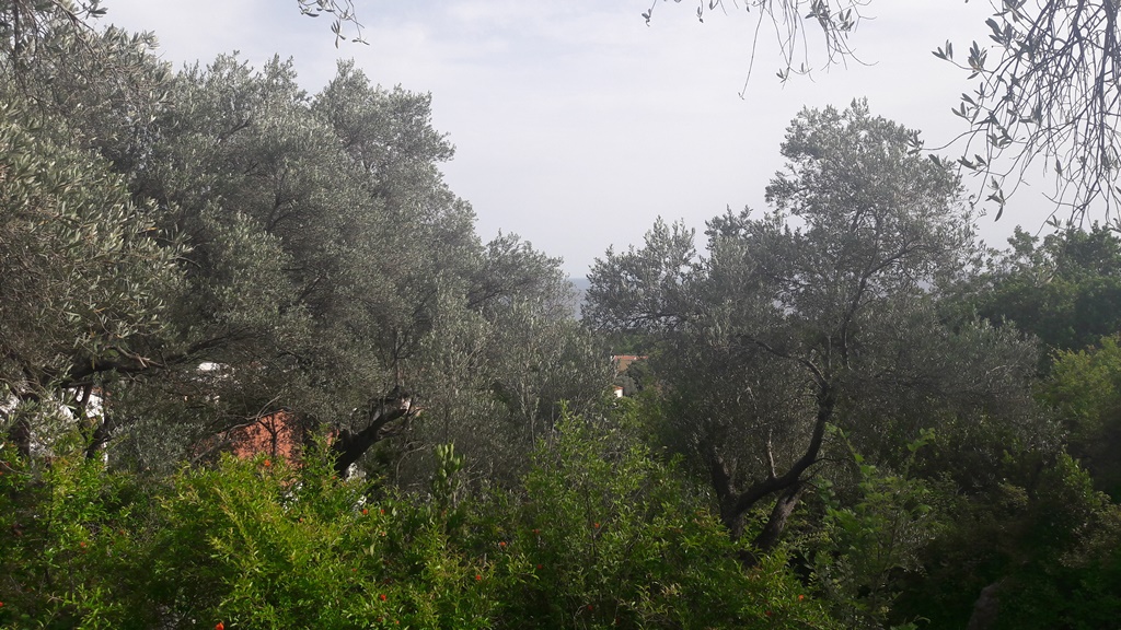 Image of Plot for Sale in Budva-Budva-Montenegro, Image 2