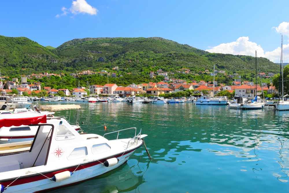 cmm-montenegro