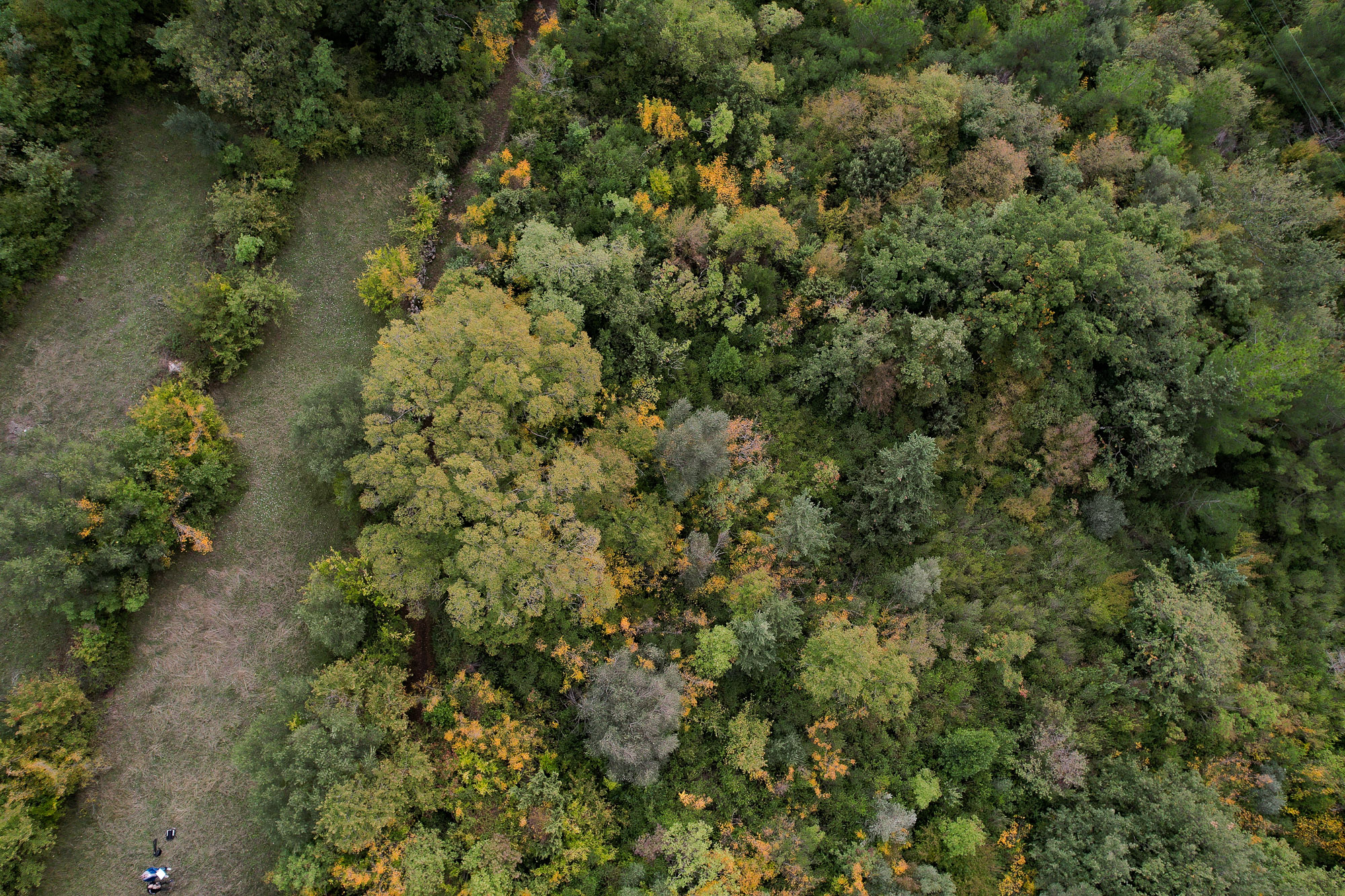 Image of Plot for Sale in Kotor-Kavac-Montenegro, Image 7