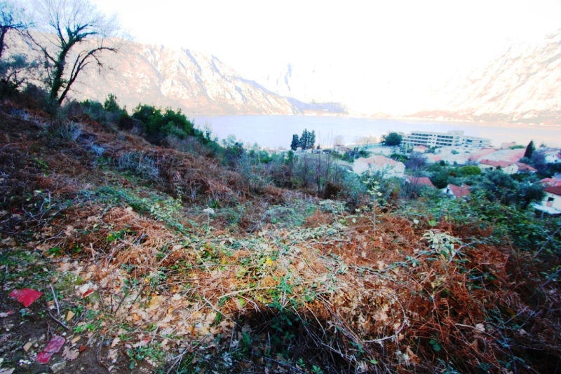 Image of Plot for Sale in Kotor-Kotor-Montenegro, Image 4
