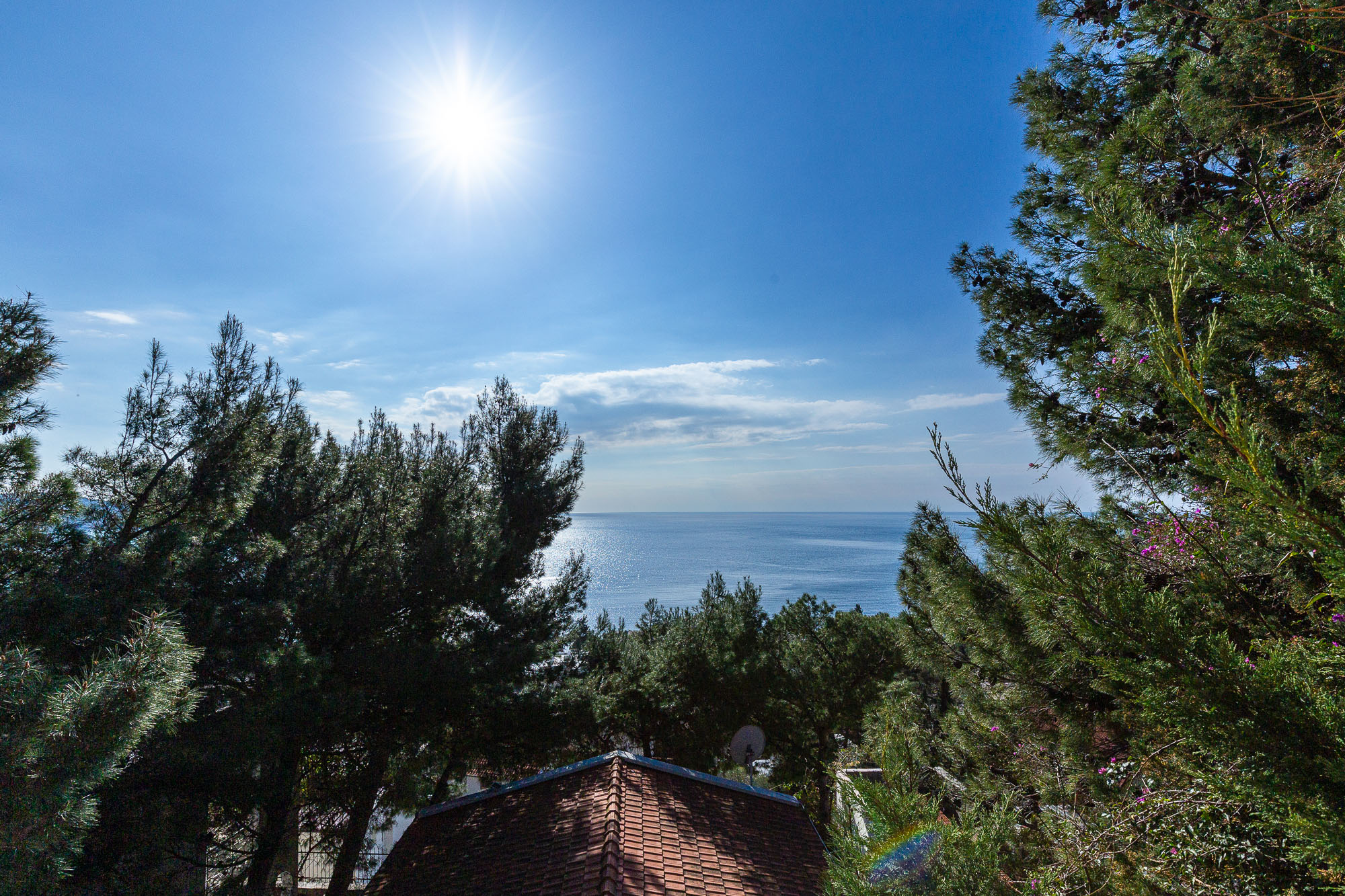 Image of House - 4 Bedrooms - 3 Bathrooms for Sale in Bar-Susanj-Montenegro, Image 30