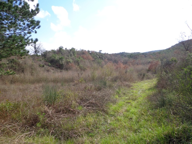 Image of Plot for Sale in Kotor-Kotor-Montenegro, Image 4