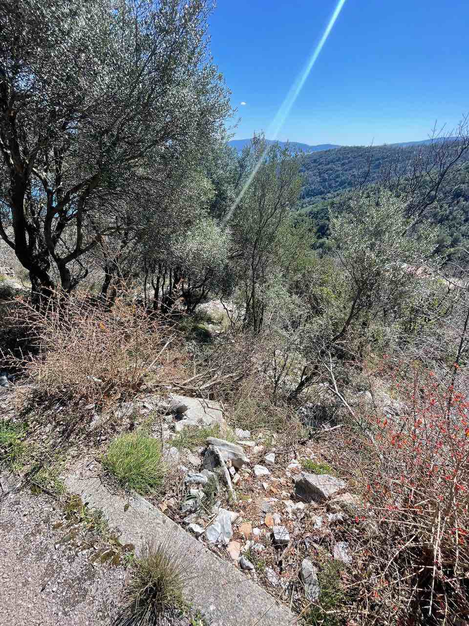 Image of Plot for Sale in Herceg-Novi-Montenegro, Image 3