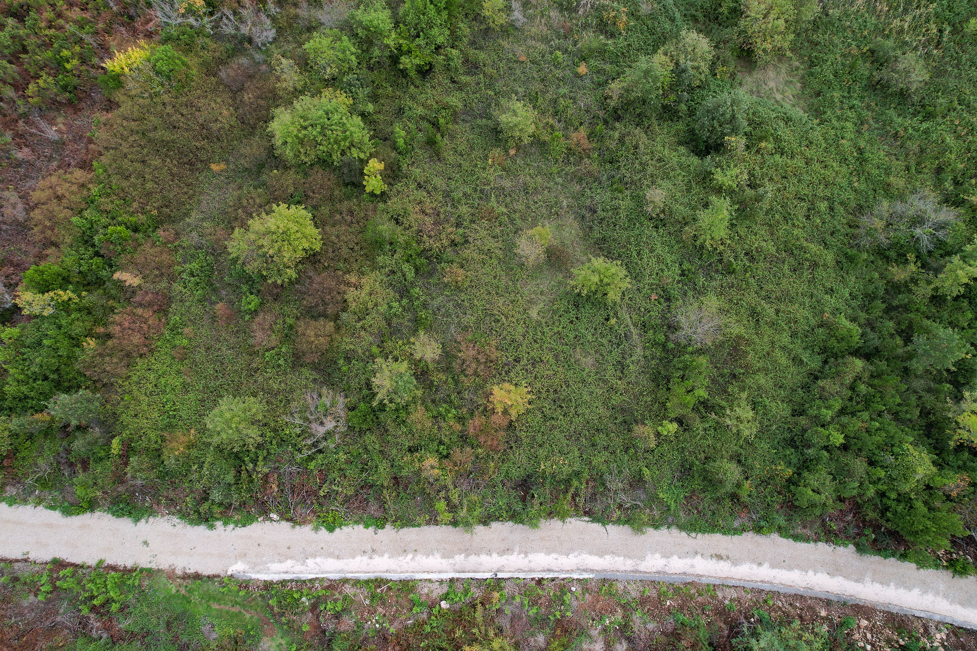 Image of Plot for Sale in Tivat-Tivat-Montenegro, Image 10