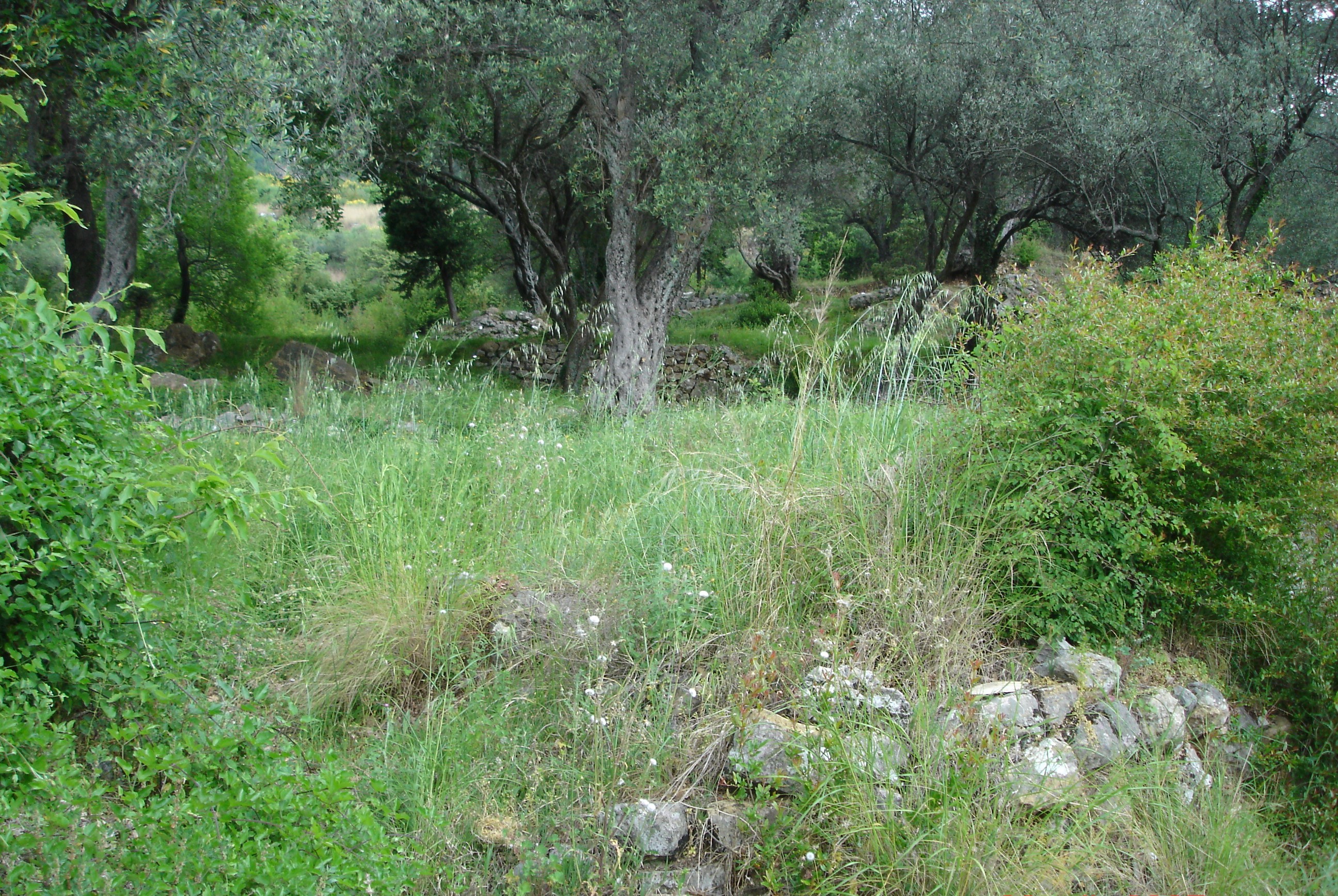Image of Plot for Sale in Kotor-Kotor-Montenegro, Image 4