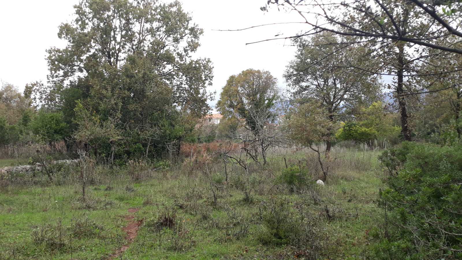 Image of Plot for Sale in Tivat-Tivat-Montenegro, Image 4