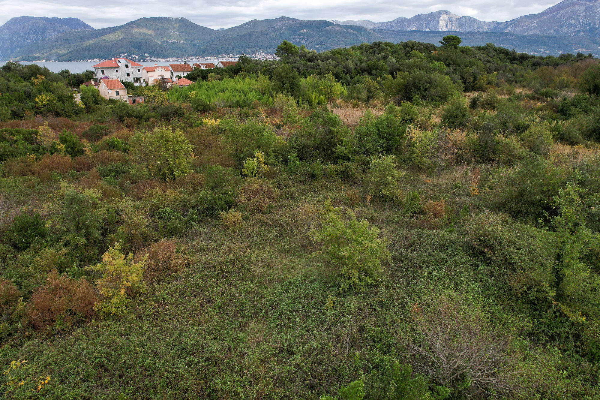 Image of Plot for Sale in Tivat-Tivat-Montenegro, Image 12