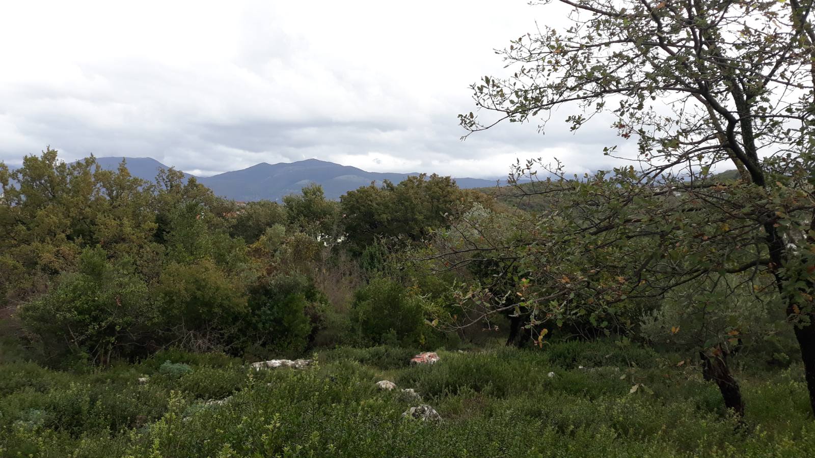 Image of Plot for Sale in Tivat-Tivat-Montenegro, Image 2