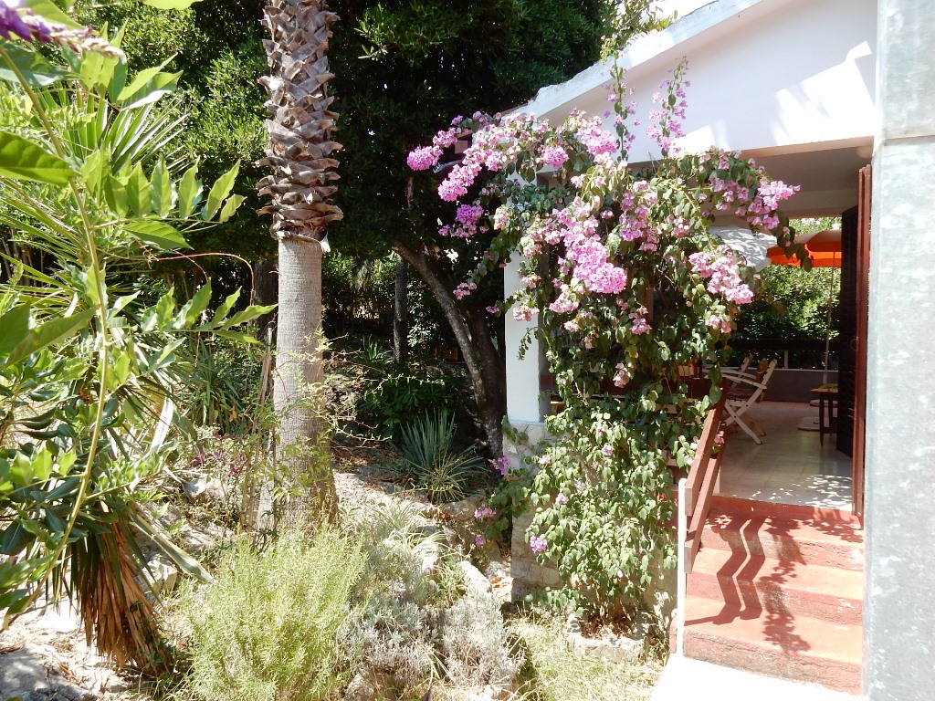 Image of House - 3 Bedrooms - 2 Bathrooms for Sale in Tivat-Tivat-Montenegro, Image 12