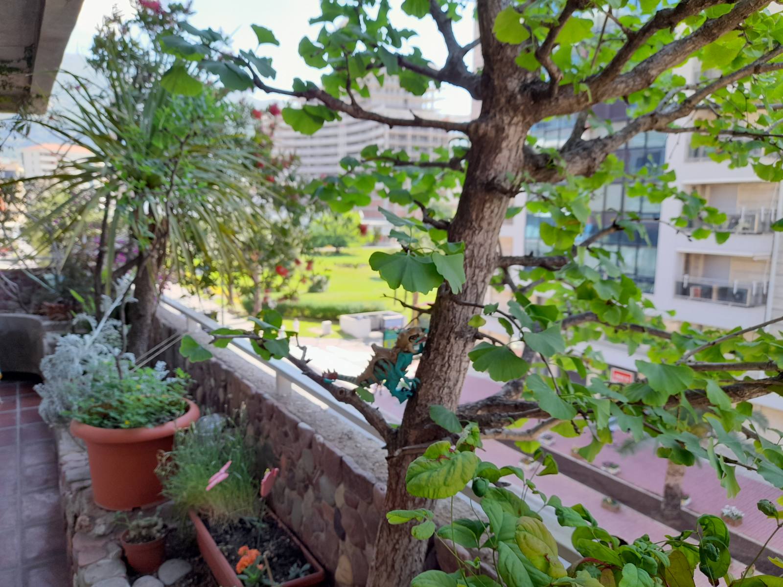 Image of Apartment - 2 Bedrooms for Sale in Budva-Budva-Montenegro, Image 3