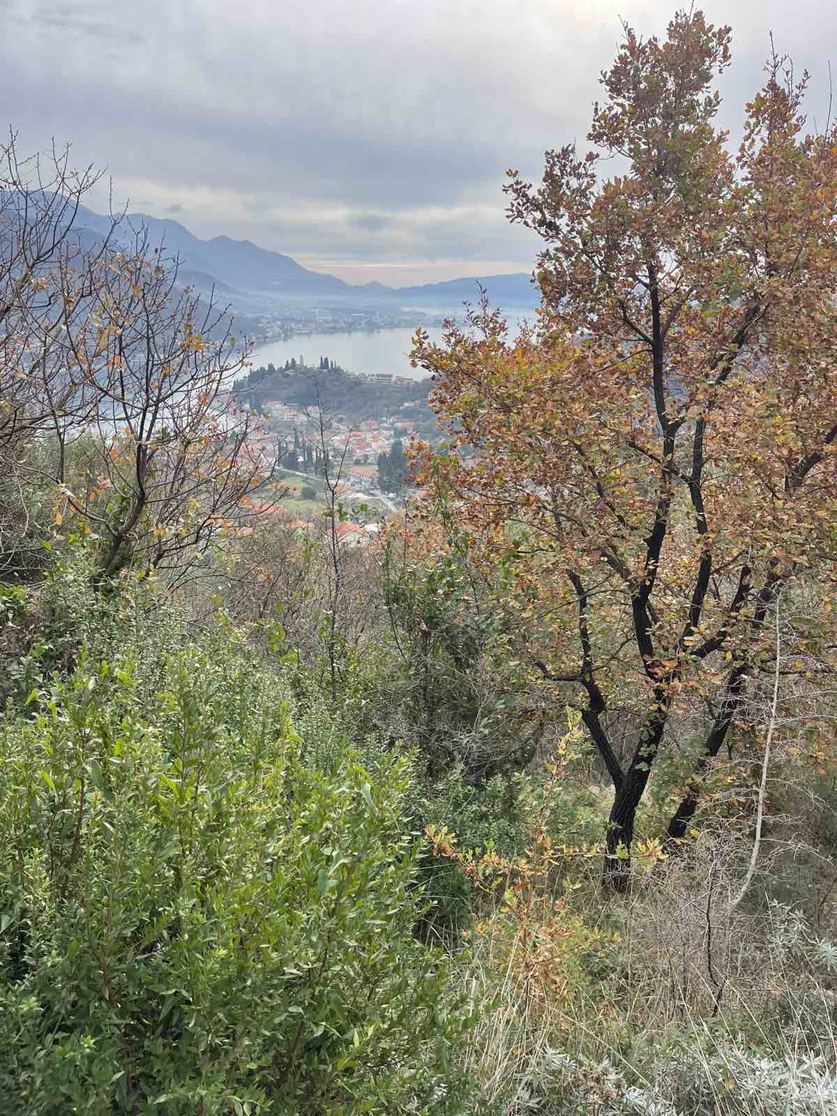 Image of Plot for Sale in Herceg-Novi-Montenegro, Image 2